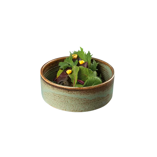 Чаша Coral 13 см, 450 мл